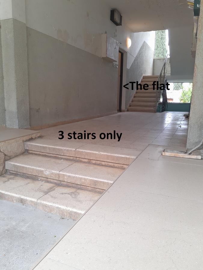 海法3 Stairs Only To Cozy Flat On Hillel St公寓 外观 照片